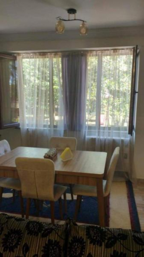 Comfortable Apartment in Kobuleri